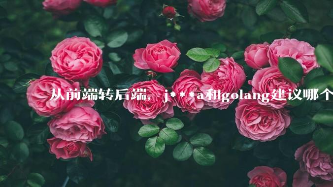 从前端转后端，j***a和golang建议哪个？