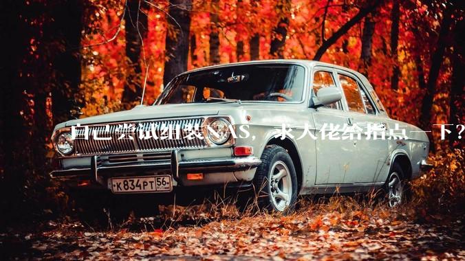 自己尝试组装NAS，求大佬给指点一下？