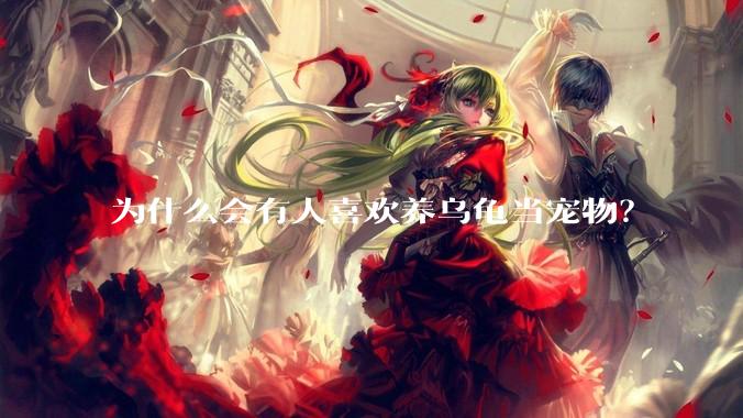 为什么会有人喜欢养乌龟当宠物？