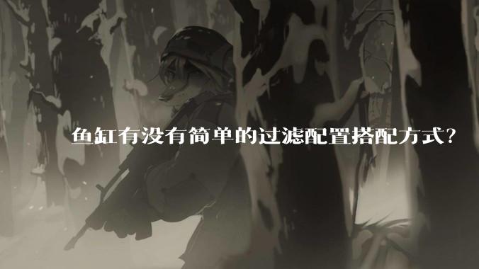 鱼缸有没有简单的过滤配置搭配方式？