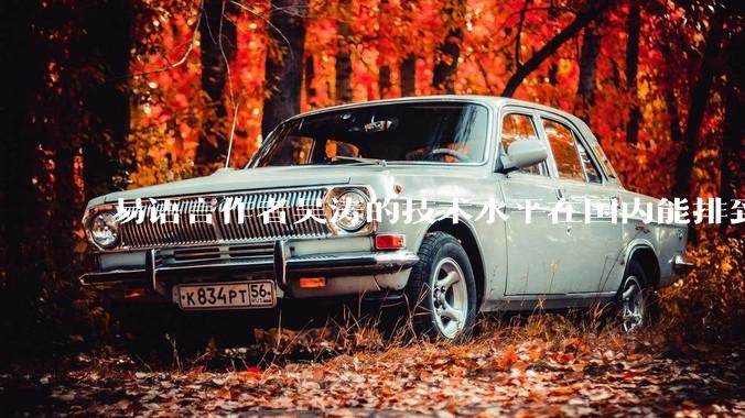 易语言作者吴涛的技术水平在国内能排到什么级别？