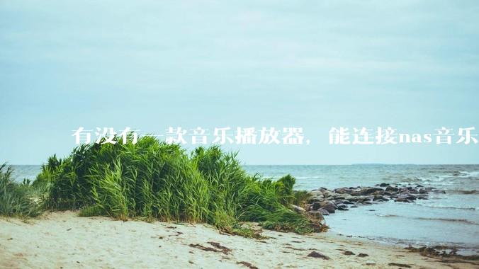 有没有一款音乐播放器，能连接nas音乐，创建音乐库，自动匹配歌词封面等等？类似infuse的概念呢？