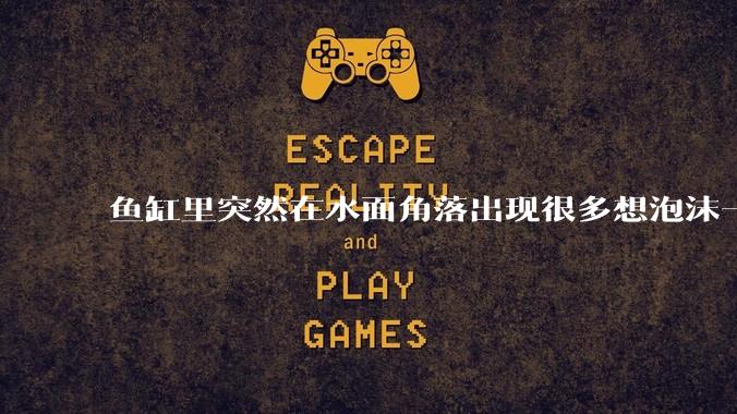 鱼缸里突然在水面角落出现很多想泡沫一样的气泡是怎么回事？