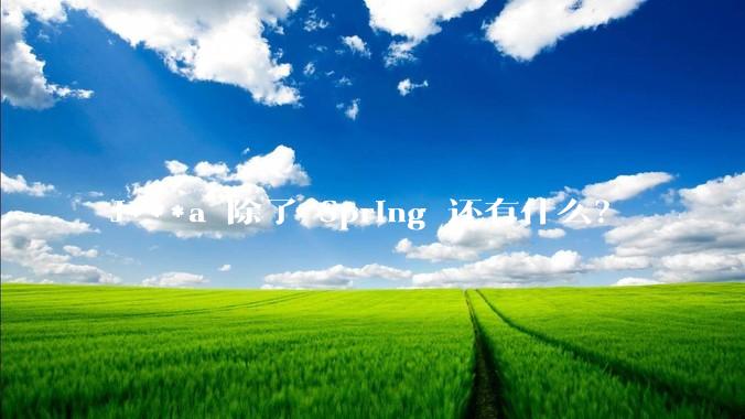 J***a 除了 Spring 还有什么？