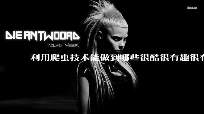 利用爬虫技术能做到哪些很酷很有趣很有用的事情？