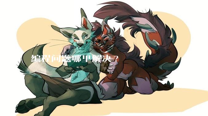 编程问题哪里解决?