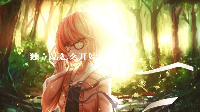 独立站怎么开始做啊？