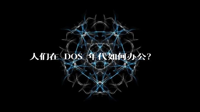 人们在 DOS 年代如何办公？