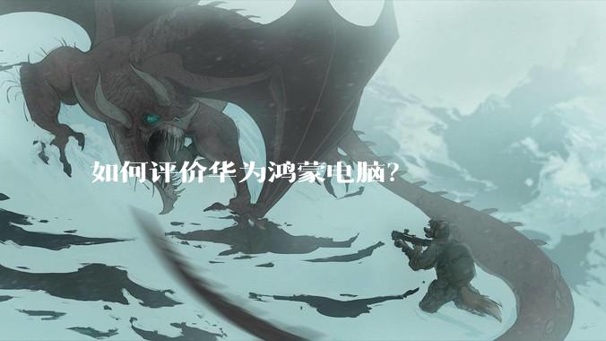 如何评价华为鸿蒙电脑？