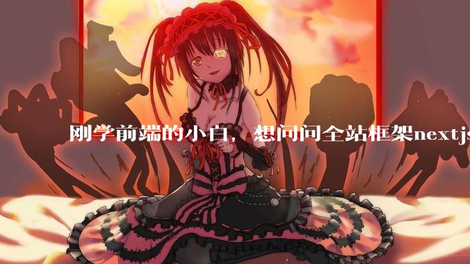 刚学前端的小白，想问问全站框架nextjs+shadcn+prisma为什么在国内不火呢？