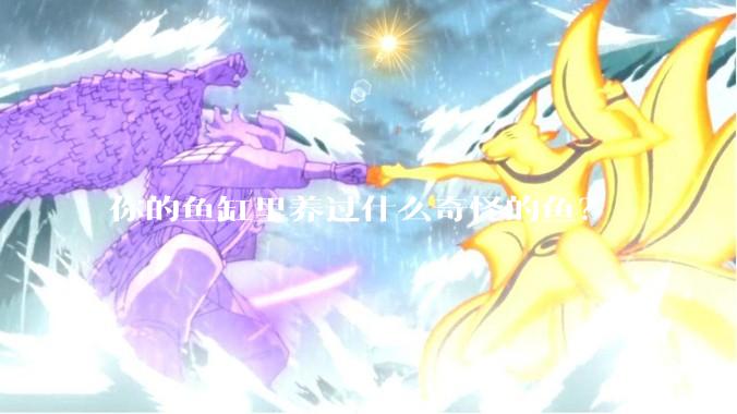 你的鱼缸里养过什么奇怪的鱼？