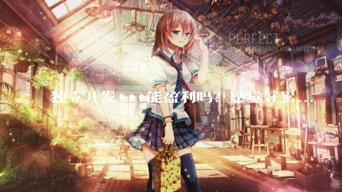 独立开发***能盈利吗？感觉好累...